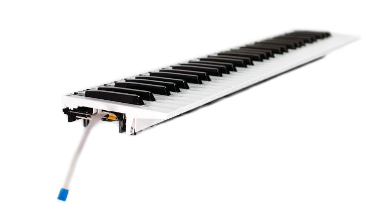 Fatar TP/9S Keyboard - 61 keys (5 octaves) - Aftertouch – Techsmechs ...