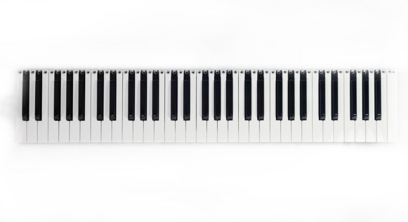 Fatar TP/9S Keyboard - 61 keys (5 octaves) - no Aftertouch